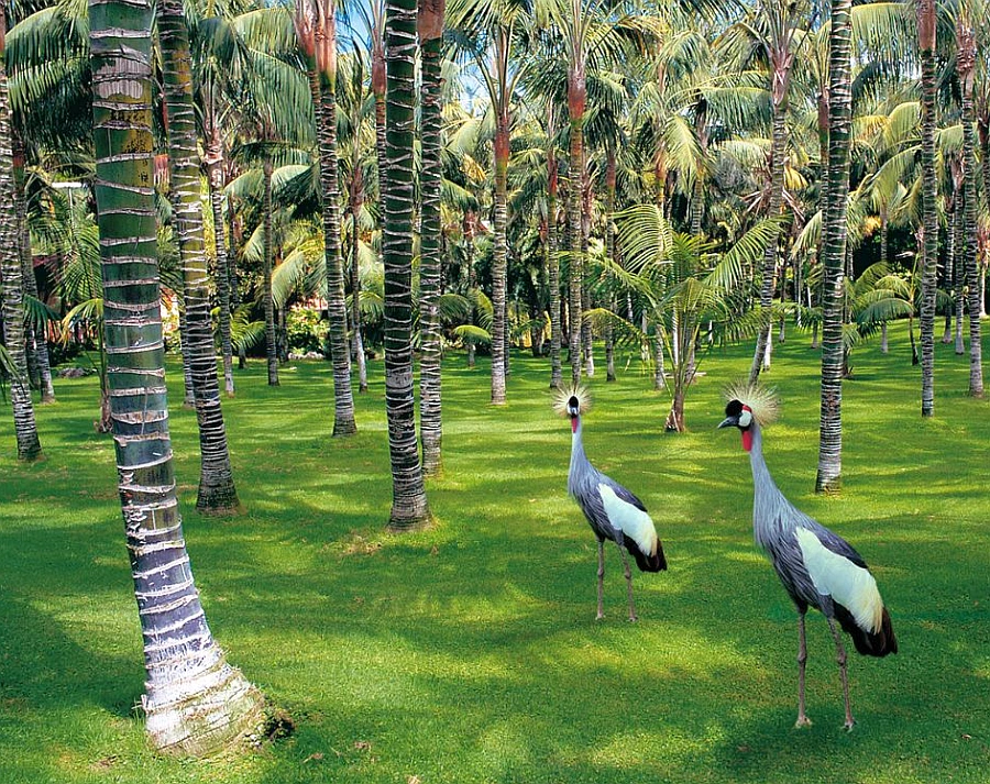 Loro Parque Tenerife Canary Islands Loro Parque Tenerife Canary Islands